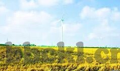 大象传媒18勿秘密入口-探索大象传媒18勿秘密入口，网络世界的隐秘花园
