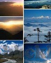 果冻传媒2021在线观看-探索果冻传媒2021在线观看的多元魅力与影响