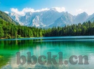 久久爱成人免费视频在线观看-探索成人教育新视角，久久爱成人免费视频在线学习资源