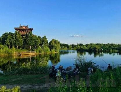 麻豆经济直播APP下载-麻豆经济直播，探索移动互联网时代的新商机