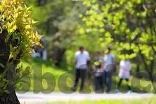 人妻av一区二区三区精品-探索成人内容领域的多元视角，人妻题材的深度剖析