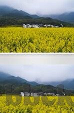 www.91麻豆av-虚拟世界中的另类探索