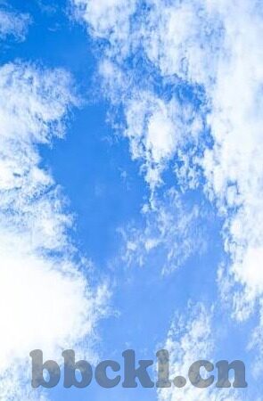 亚洲av男人的天堂麻豆-探索麻豆，亚洲av中的独特魅力